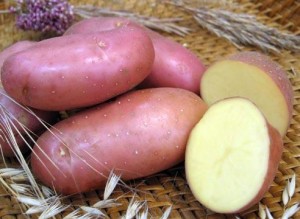 Сорт картофеля бородянский розовый.
